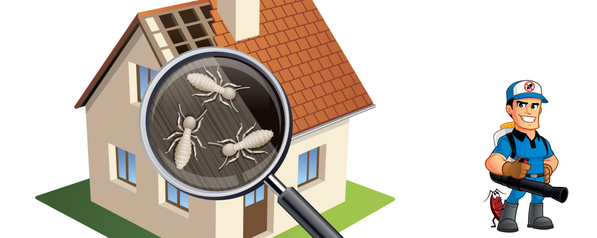 termite inspection report