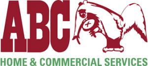logo1